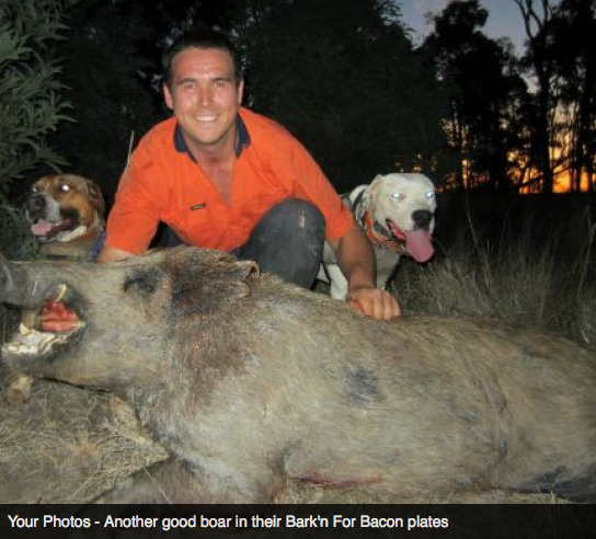 Screen Shot 2013-10-02 at 1.36.39 PM